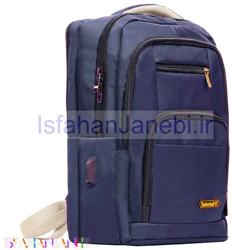 اصفهان جانبی-کوله پشتی لپ تاپ Timberland BB21