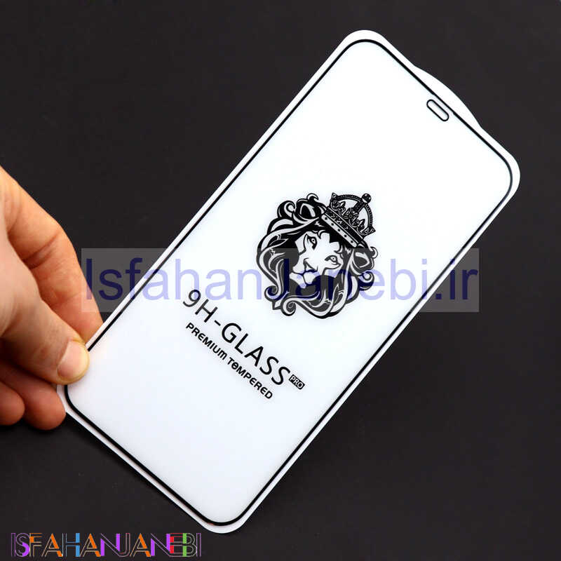 اصفهان جانبی-گلس LIONSERIES بدون پک iPhone 12 Pro Max