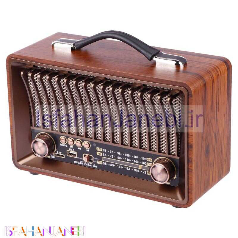 اصفهان جانبی-رادیو اسپیکر بلوتوثی رم و فلش خور Raiseng R-1918BT