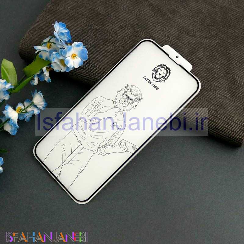 اصفهان جانبی-گلس تمام چسب GREEN STEVE آیفون iPhone 13 / 13 Pro