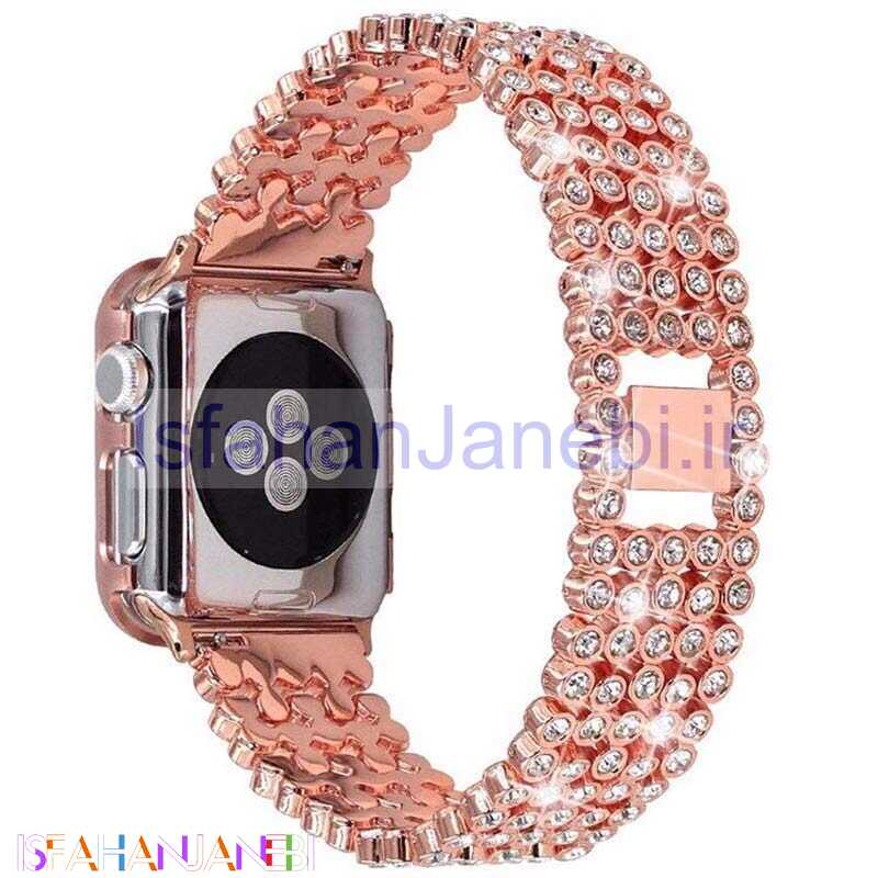 اصفهان جانبی-بند اپل واچ پرنگین 38/40mm