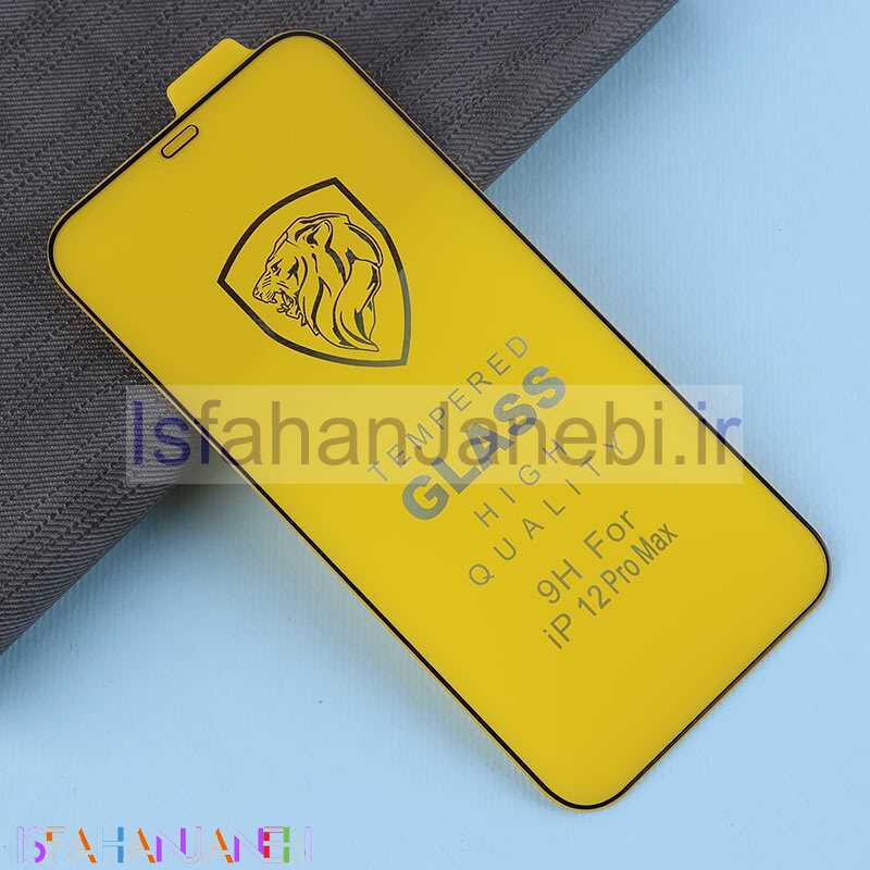 اصفهان جانبی-گلس Tempered آیفون iPhone 12 Pro Max کد 1