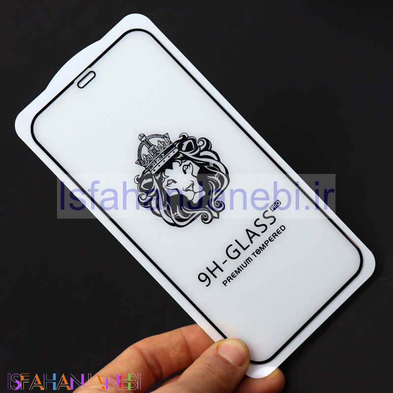 اصفهان جانبی-گلس LIONSERIES بدون پک iPhone 12