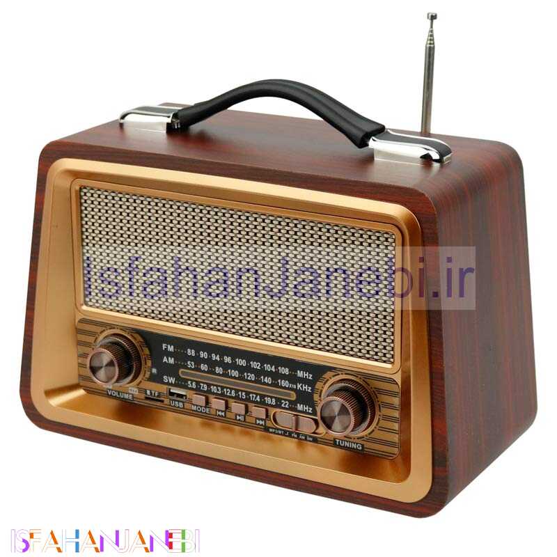 اصفهان جانبی-رادیو اسپیکر بلوتوثی رم و فلش خور Raiseng R-2066BT
