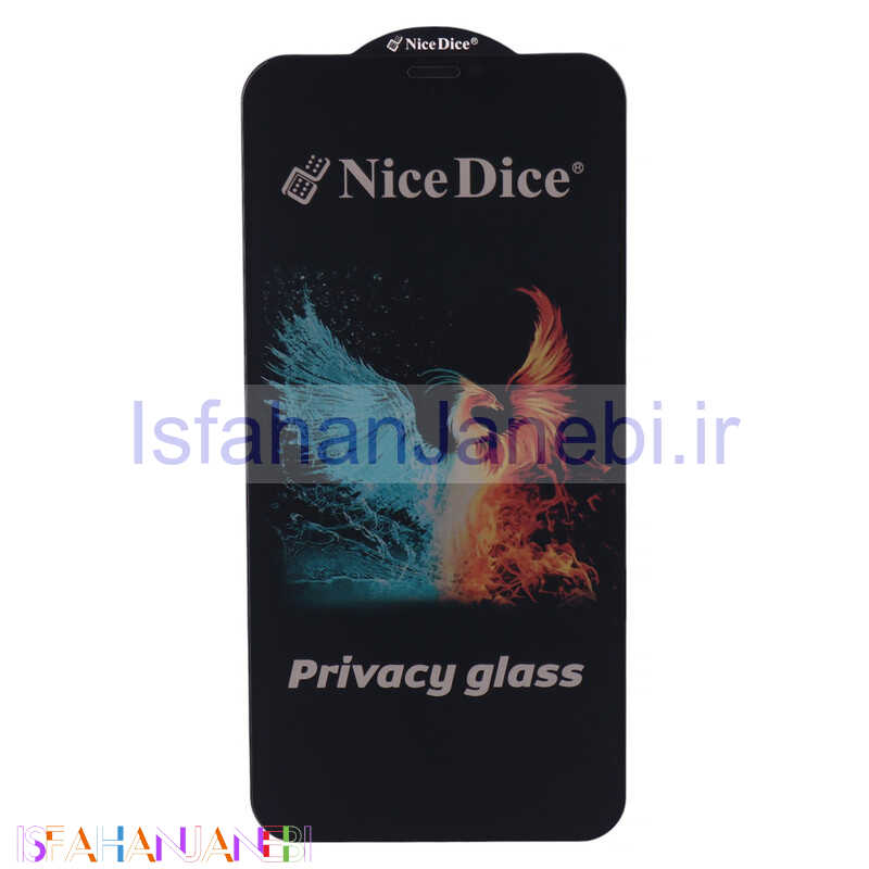 اصفهان جانبی-گلس پرایوسی Nice Dice آیفون 11 / XR