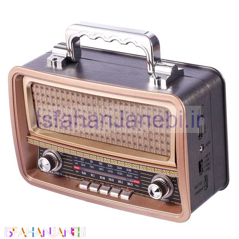 اصفهان جانبی-رادیو اسپیکر بلوتوثی رم و فلش خور Meier M-1919BT