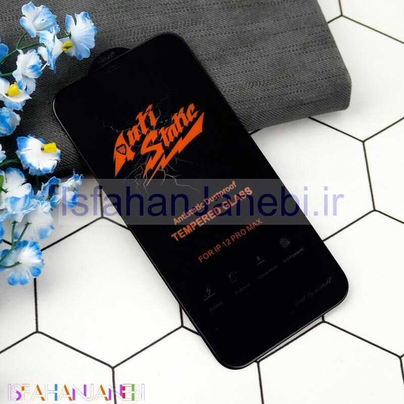 اصفهان جانبی-گلس Anti Static آیفون iPhone 12 Pro Max