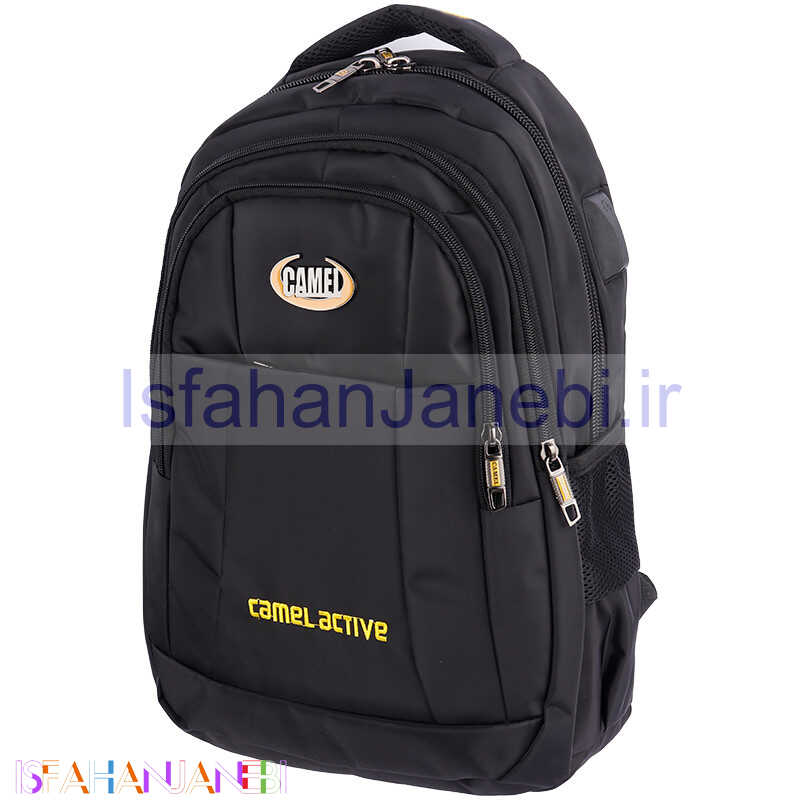 اصفهان جانبی-کوله پشتی لپ تاپ Camel Active mc413