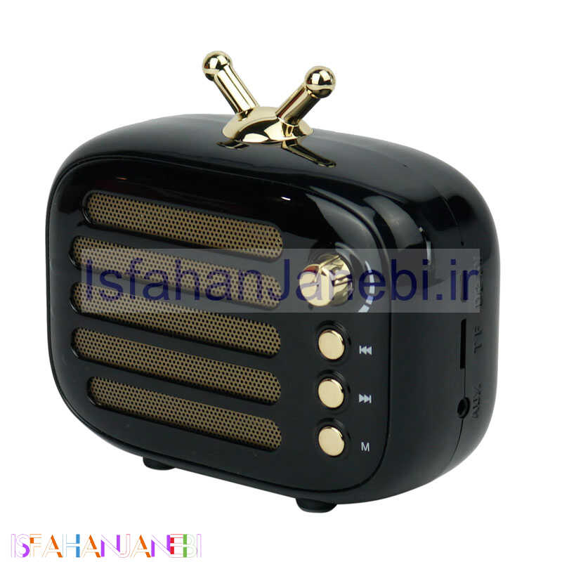 اصفهان جانبی-اسپیکر بلوتوثی رم خور Retro A18