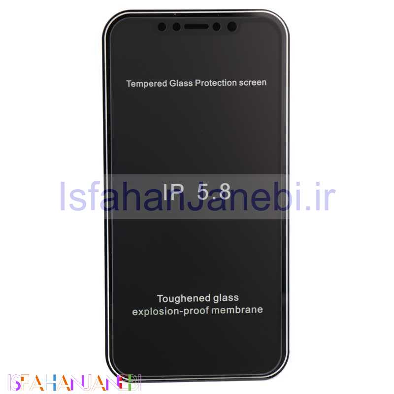 اصفهان جانبی-گلس Privacy مات iPhone 11 Pro مشکی