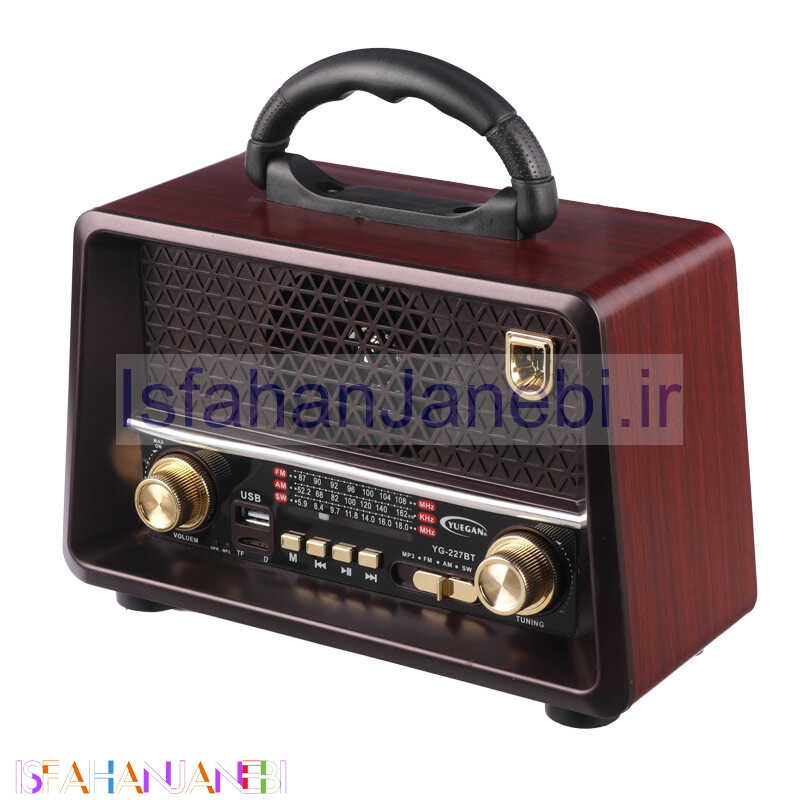 اصفهان جانبی-رادیو اسپیکر بلوتوثی رم و فلش خور Yuegan YG-227BT