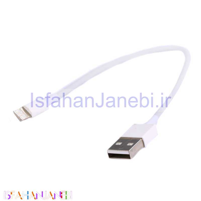 اصفهان جانبی-کابل کوتاه اورجینال قاب دار آیفونی Best