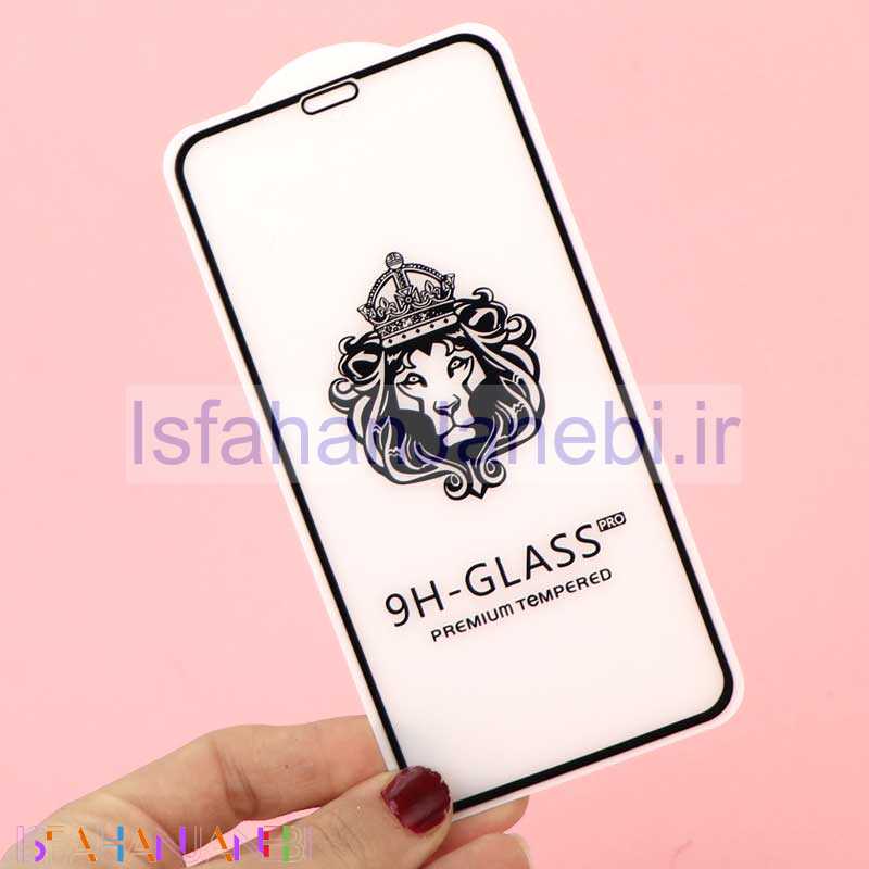 اصفهان جانبی-گلس 3D پکدار LIONSERIES آیفون iPhone 11 Pro