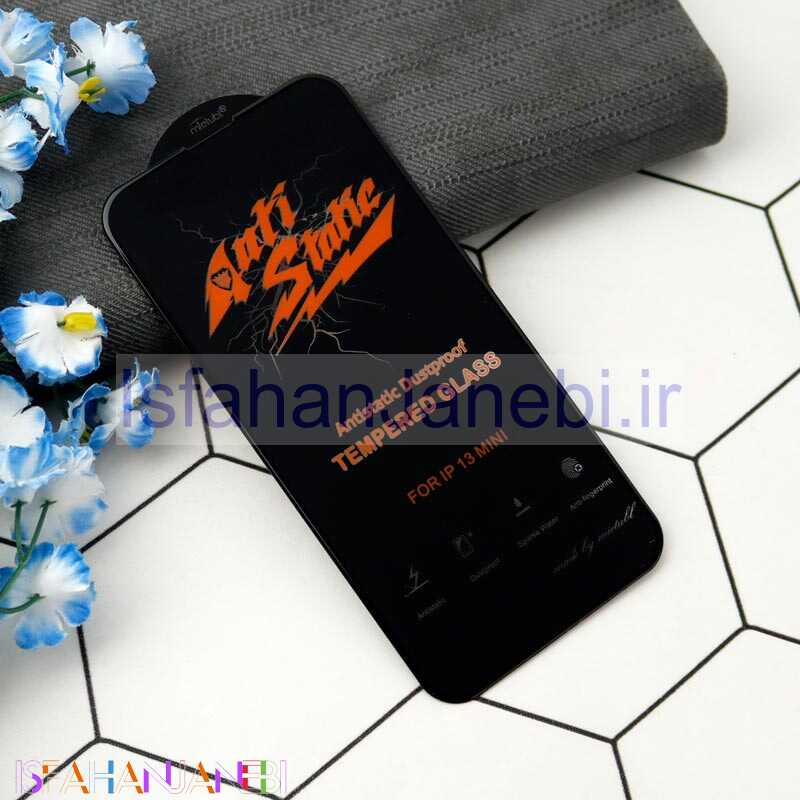 اصفهان جانبی-گلس Anti Static آیفون iPhone 13 Mini