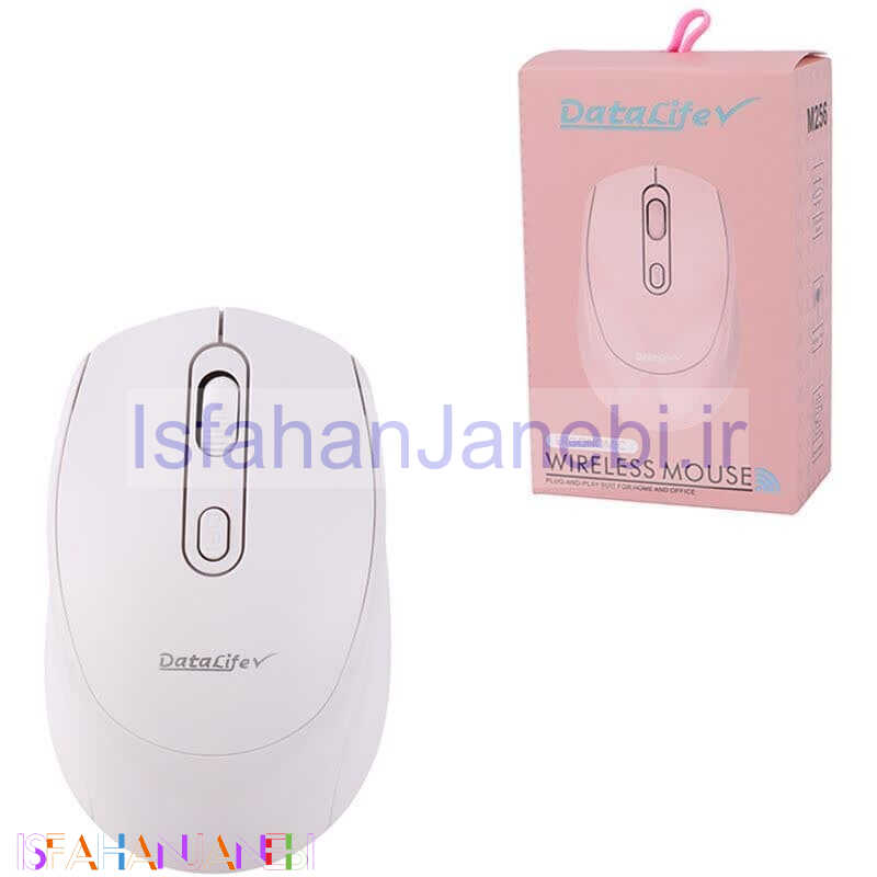 اصفهان جانبی-موس بی سیم دیتالایف M256