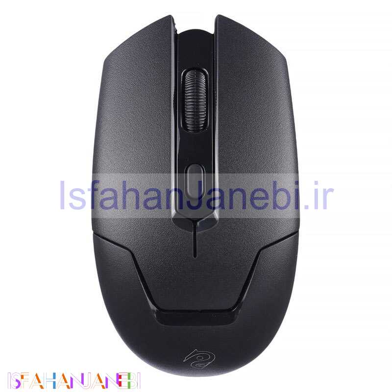 اصفهان جانبی-موس بی سیم Rizyue 17