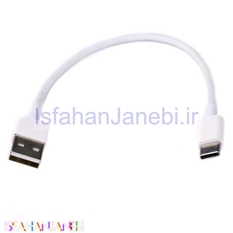 اصفهان جانبی-کابل کوتاه اورجینال قاب دار Best Type-C