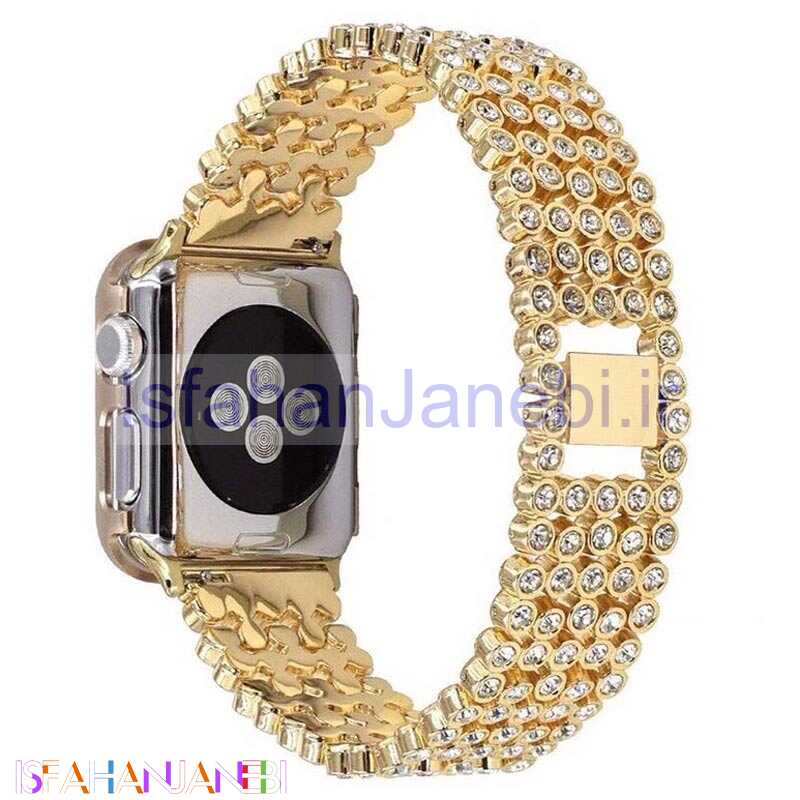 اصفهان جانبی-بند اپل واچ پرنگین 42/44mm