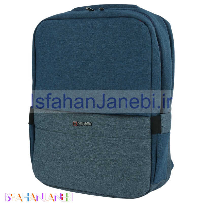 اصفهان جانبی-کوله پشتی لپ تاپ Delsey b0114