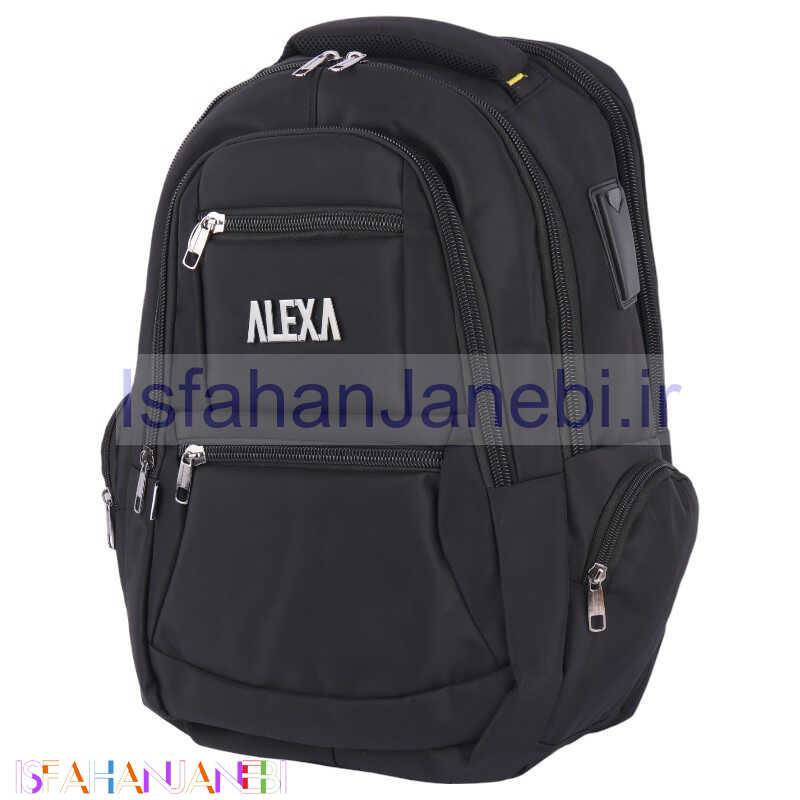 اصفهان جانبی-کوله پشتی لپ تاپ Alexa کد MC-419