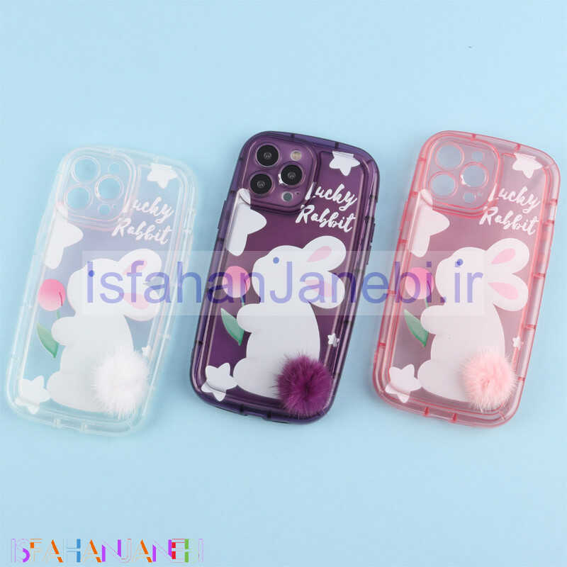 اصفهان جانبی-قاب متال ژله ای Lucky Rabbit محافظ لنزدار iPhone 13 Pro Max
