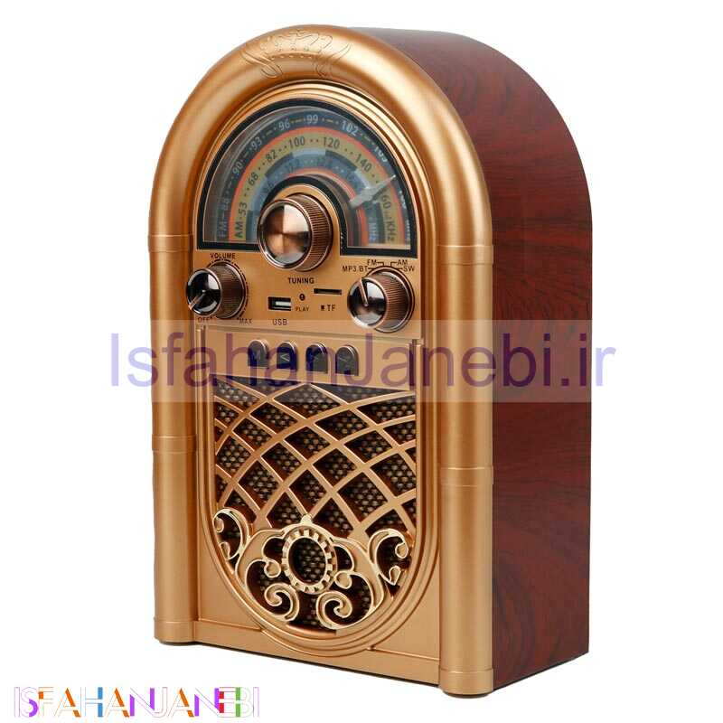اصفهان جانبی-رادیو اسپیکر بلوتوثی رم و فلش خور Raiseng R-1950BT