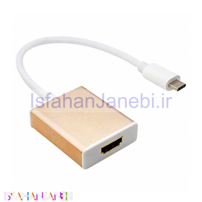 اصفهان جانبی-تبدیل Type-C to HDMI