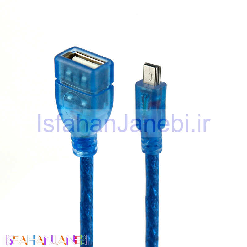 اصفهان جانبی-کابل کوتاه افزایش طول Datalife Mini USB 30cm