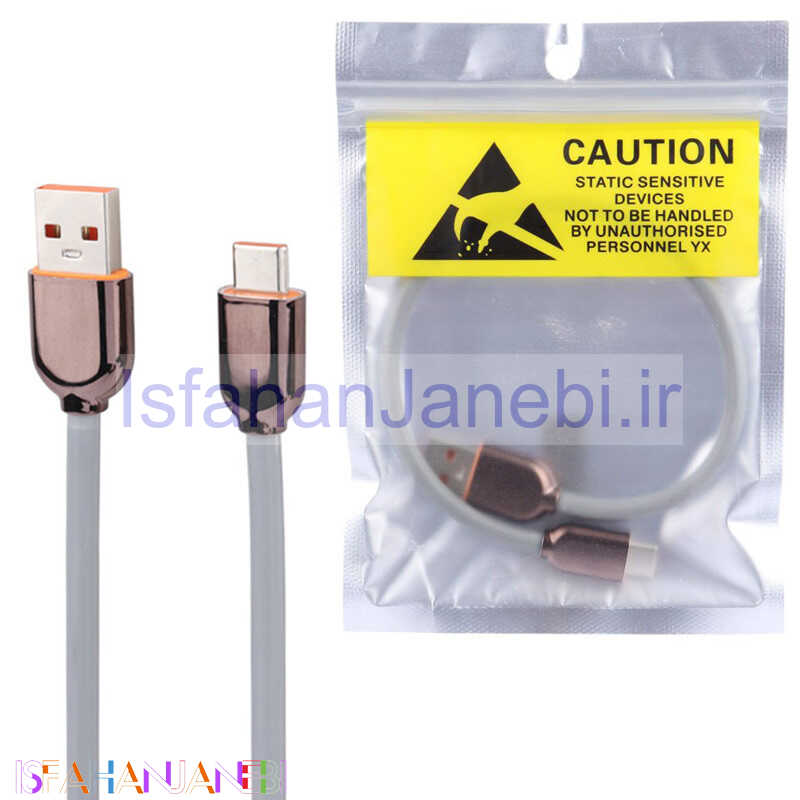 اصفهان جانبی-کابل کوتاه تایپ سی 30Cm
