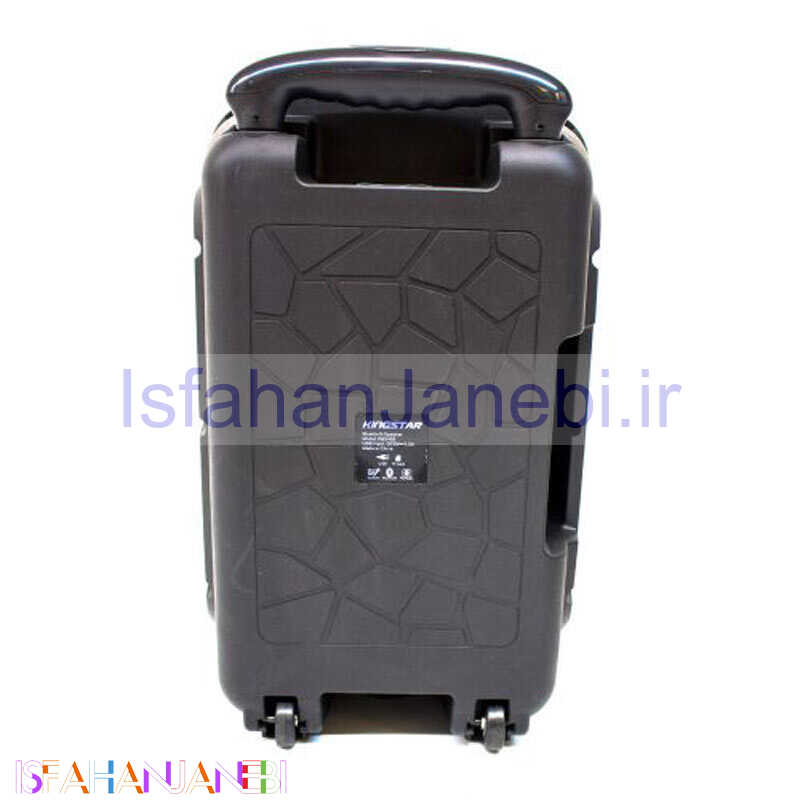 اصفهان جانبی-اسپیکر چمدانی رم و فلش خور KingStar KBS465