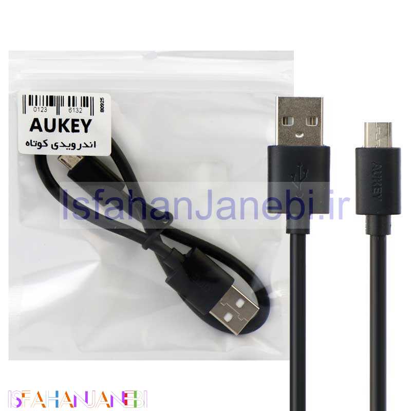 اصفهان جانبی-کابل کوتاه میکرو یو اس بی Aukey 30cm