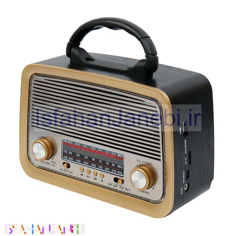 اصفهان جانبی-رادیو اسپیکر بلوتوثی رم و فلش خور YS-3199BT