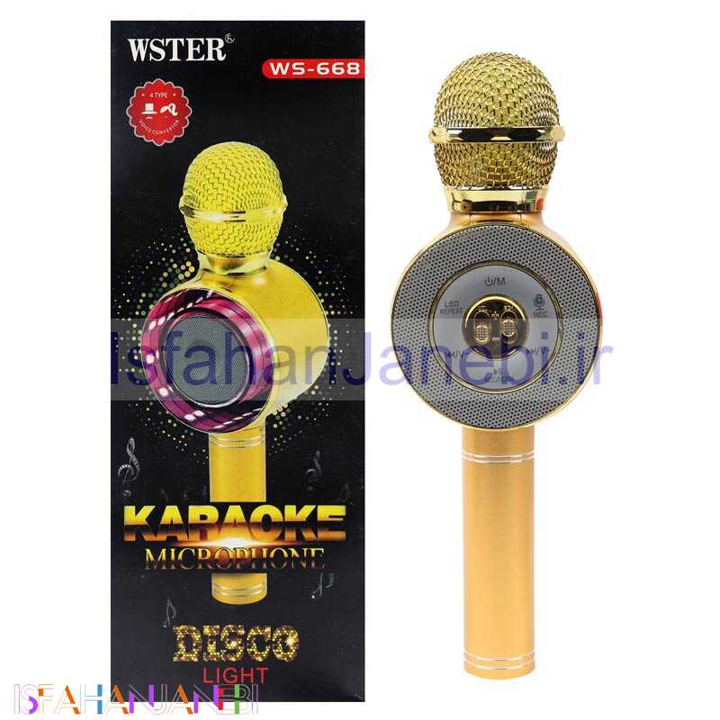 اصفهان جانبی-میکروفون و اسپیکر WSTER WS-668