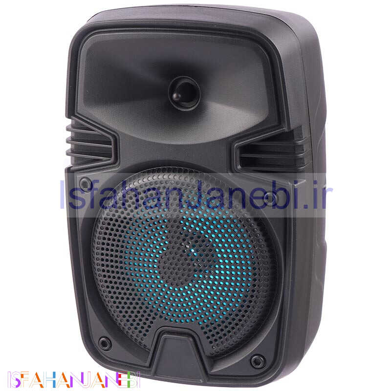 اصفهان جانبی-اسپیکر بلوتوثی فلش خور Sing-E ZQS1461