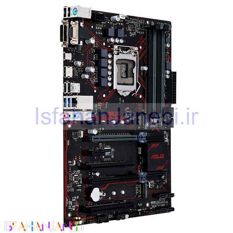 اصفهان جانبی-مادربرد ایسوس PRIME B250-PLUS DDR4