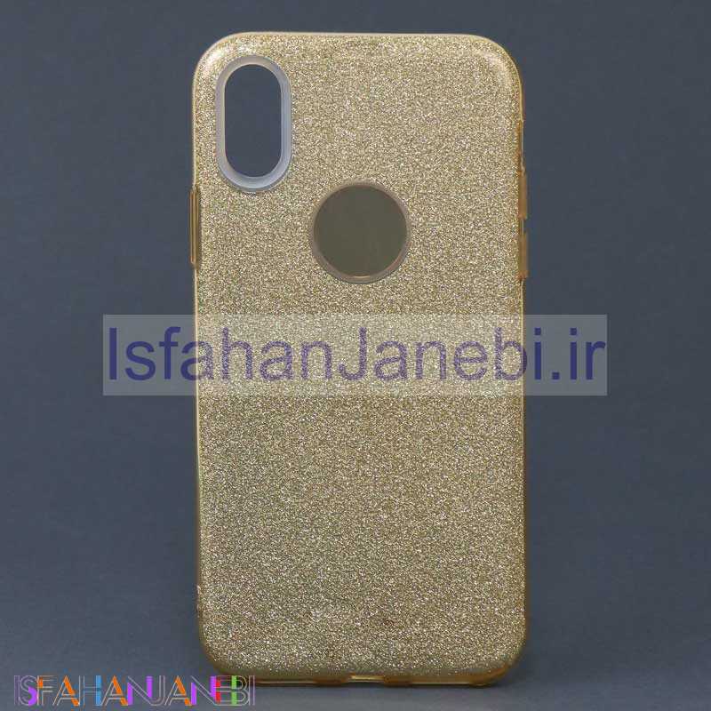 اصفهان جانبی-قاب اکلیلی iPhone X طلایی