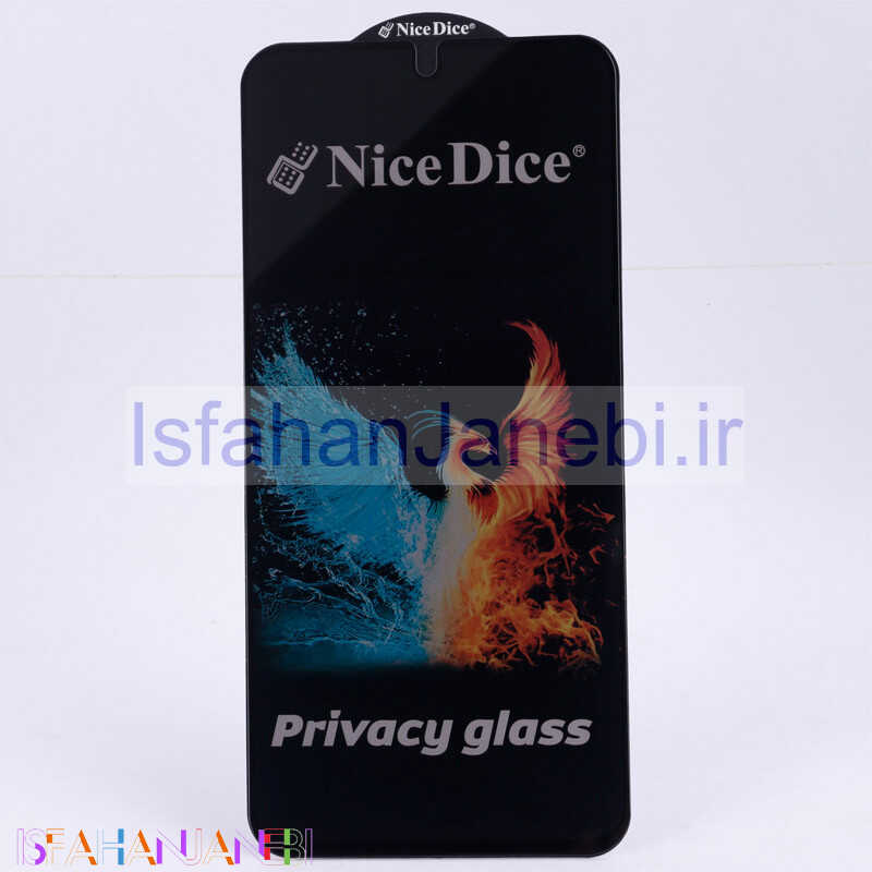 اصفهان جانبی-گلس پرایوسی Nice Dice سامسونگ Galaxy A25
