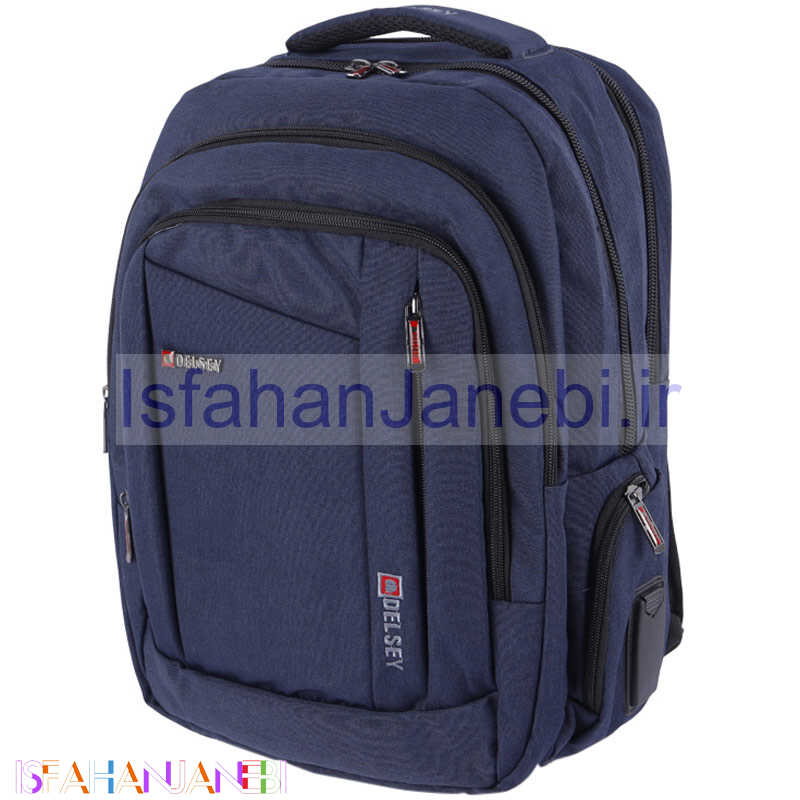 اصفهان جانبی-کوله پشتی لپ تاپ Delsey کد 495