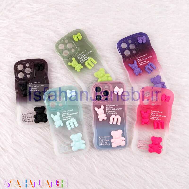 اصفهان جانبی-قاب عروسکی برجسته دو رنگ محافظ لنزدار iPhone 13 Pro