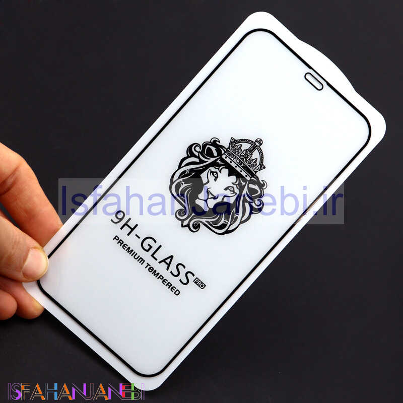 اصفهان جانبی-گلس LIONSERIES بدون پک iPhone 12 Pro
