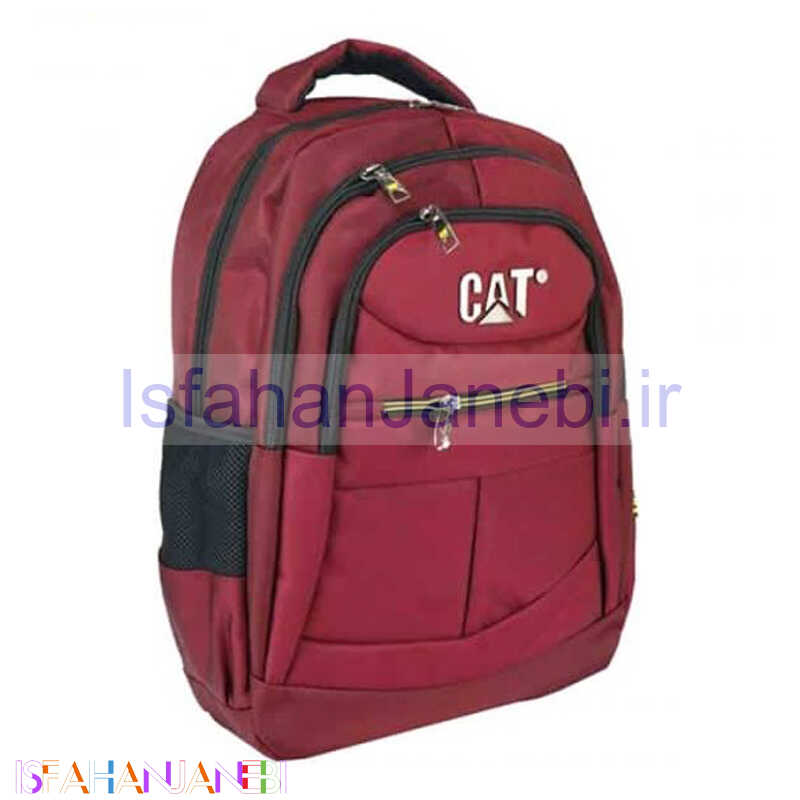 اصفهان جانبی-کوله پشتی لپ تاپ Cat BB20