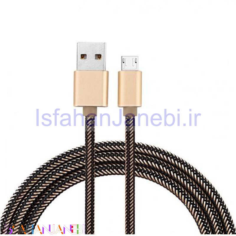 اصفهان جانبی-کابل میکرو یو اس بی Emy My-448 2m