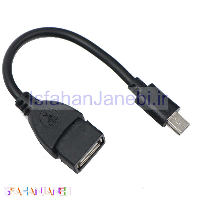 اصفهان جانبی-تبدیل Royal OTG Mini USB 15cm