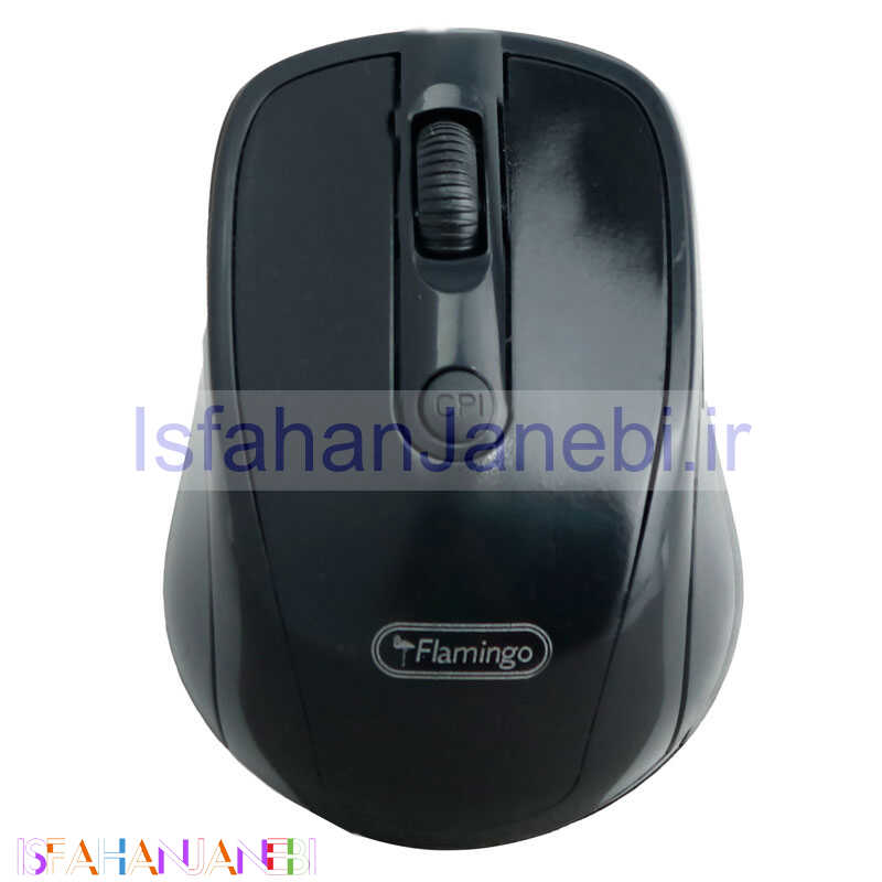 اصفهان جانبی-موس بی سیم 3100 Flamingo
