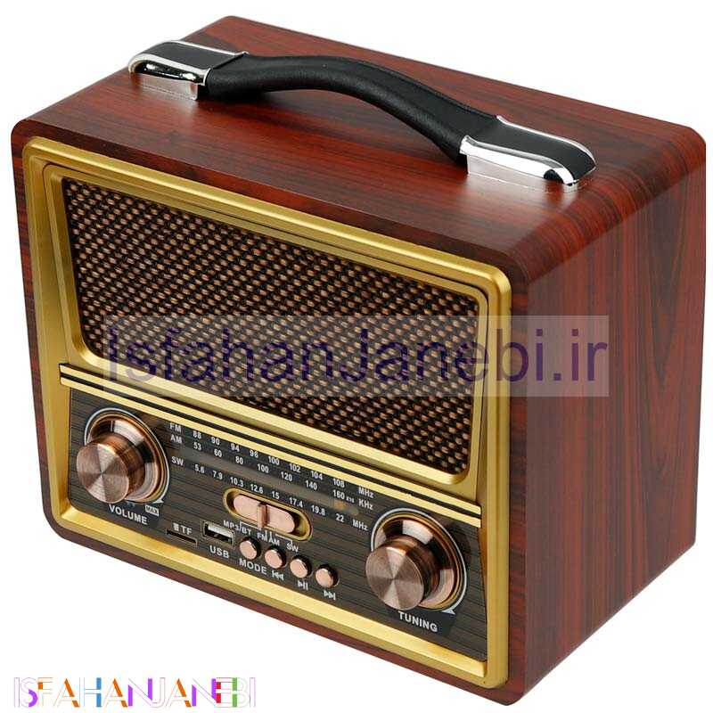 اصفهان جانبی-رادیو اسپیکر بلوتوثی رم و فلش خور Raiseng R-2055BT