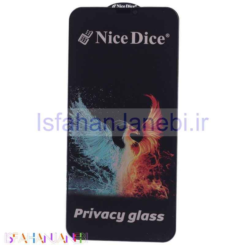 اصفهان جانبی-گلس پرایوسی Nice Dice آیفون iPhone 11 Pro Max