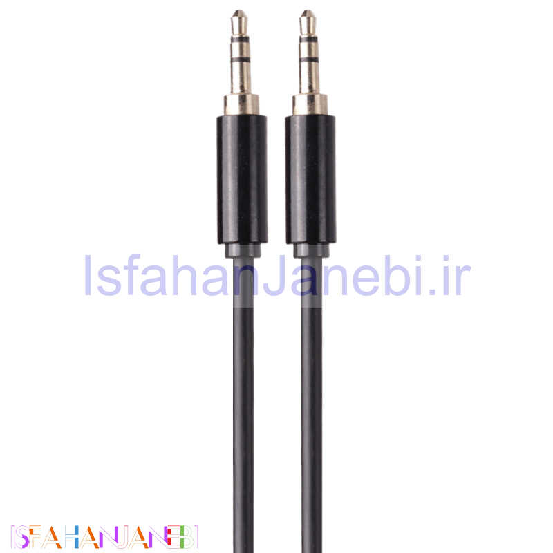 اصفهان جانبی-کابل ProOne PCA43 AUX 1m